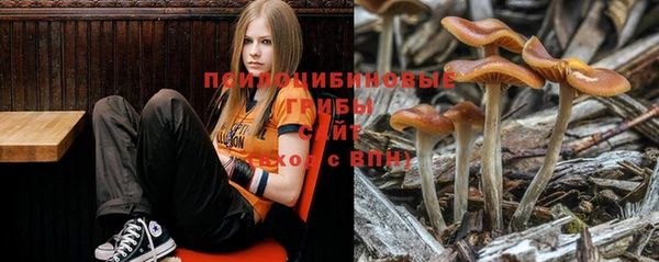 каннабис Аркадак