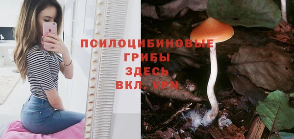 каннабис Аркадак