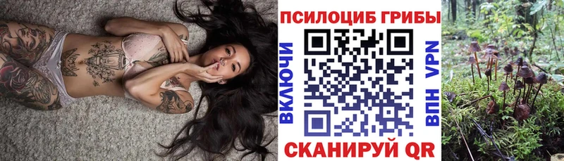 кракен маркетплейс  закладки  Бирюсинск  Галлюциногенные грибы Psilocybe 